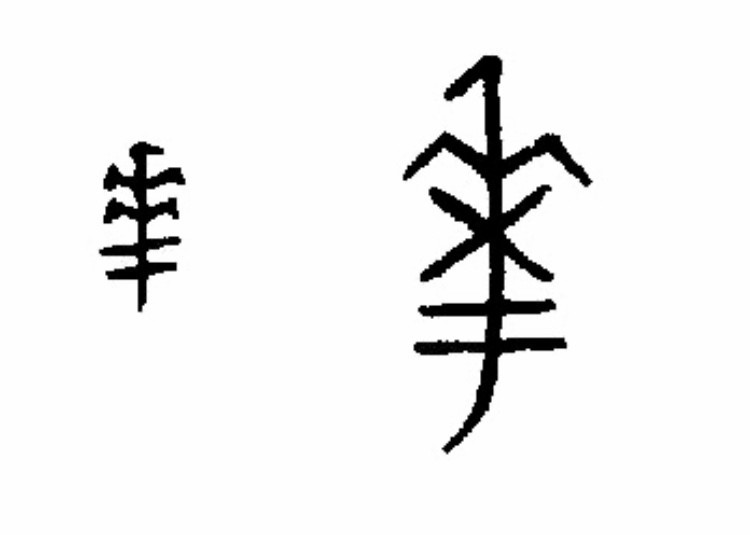 甲骨文"华"字