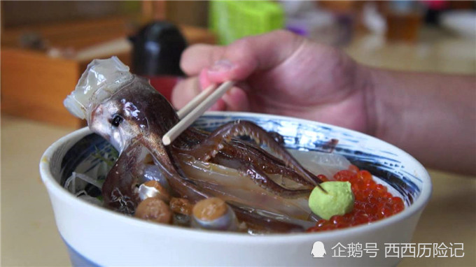会跳舞的鱿鱼