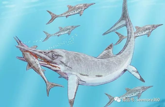 最强海爬家族鱼龙体长从40厘米到26米不等全方位制霸海洋