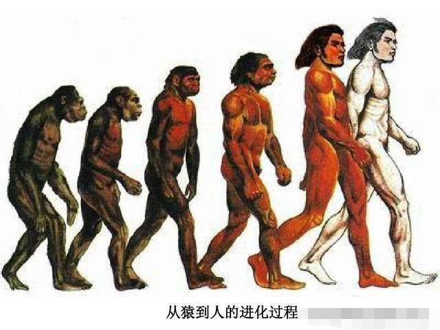 要是人类的尾巴没有退化掉,能做什么用?看完这个你就知道了!