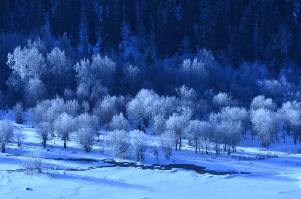 新疆编外宣传委员赵立坚点赞新疆雪景新疆的冬季终于藏不住了