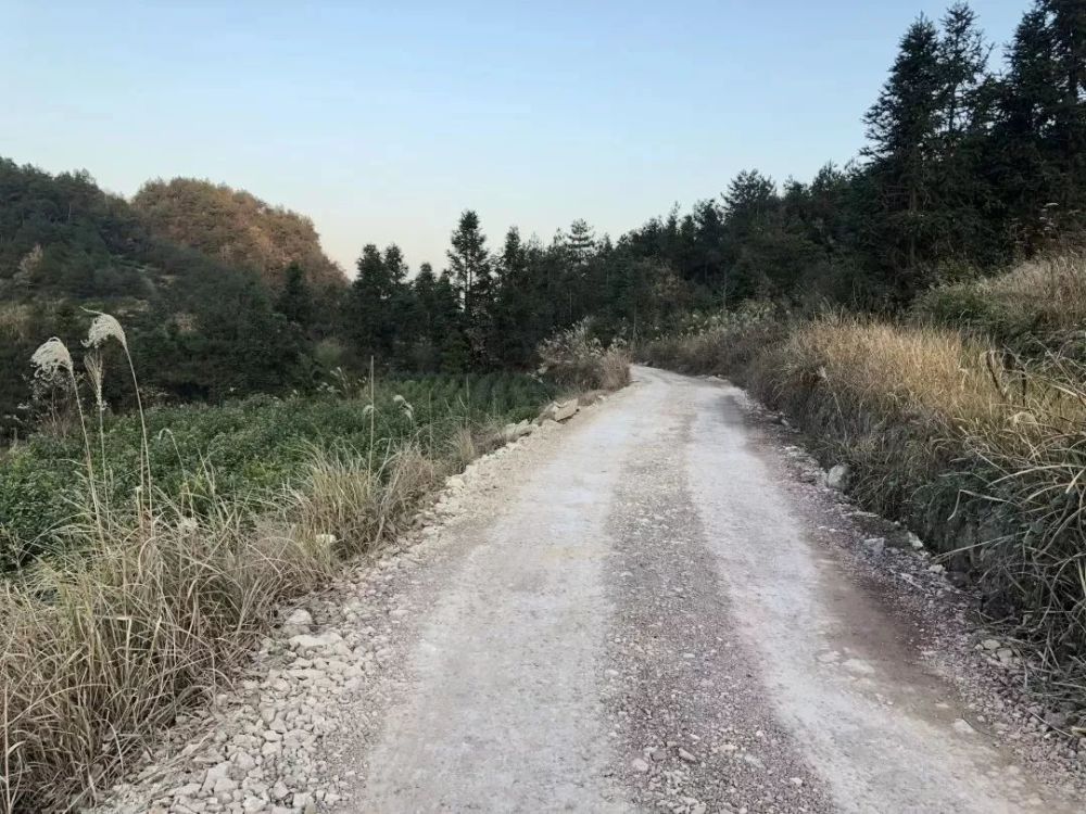 水泥路与黄泥路相间,上坪村到联谊村路况不佳,早上七点半前达到胡源乡