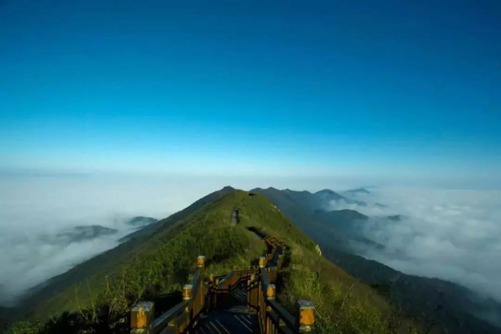 太阳山森林公园