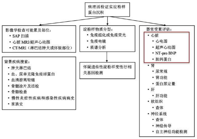 简单3 点掌握心肌淀粉样变的"诊"与"治"