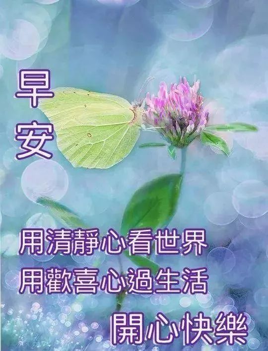 微信问候早安早上好最新漂亮动态图,暖心的清晨好祝福