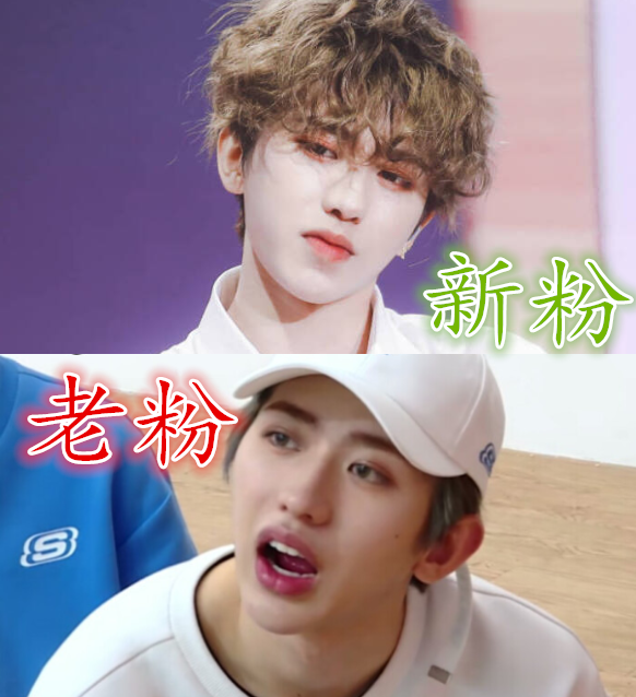 新粉vs老粉眼中明星:蔡徐坤搞笑,肖战蠢萌,看到千玺:我是粉了个啥!