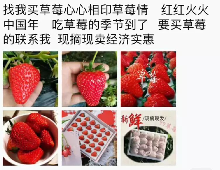 草莓季想卖好它你需要这些走心文案