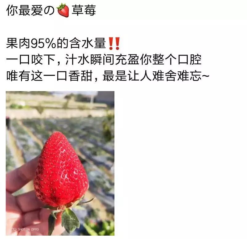 草莓季想卖好它你需要这些走心文案