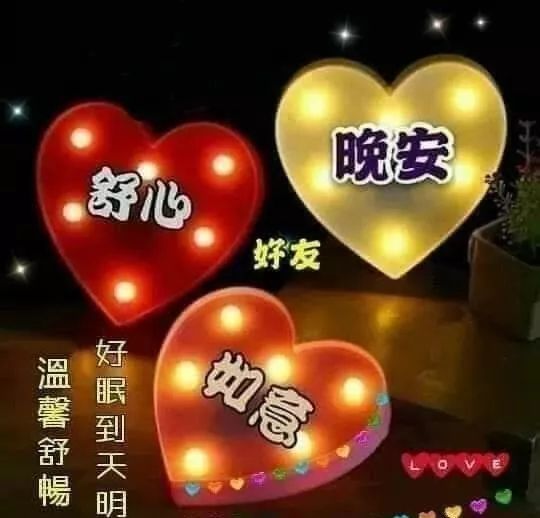 重温一天的快乐,追念一天的优美,然后闭上眼睛,睡个好觉,晚安!