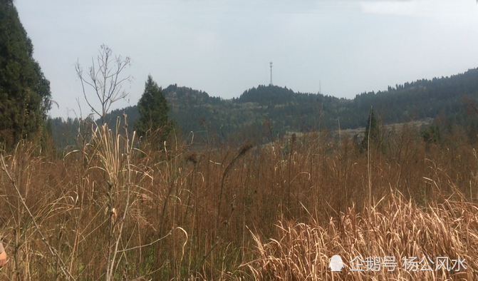 成都风水宝地大鹏展翅形,风水大师王君植四川亲点坟墓