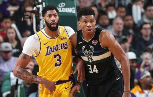 波尔排名_波尔山羊(3)