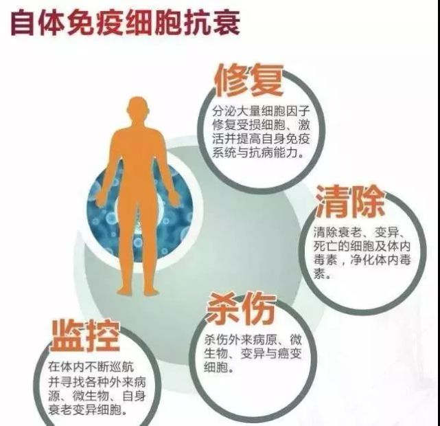 腎移植后免疫低怎么辦_白細(xì)胞免疫低 不孕_免疫功能低下圖片