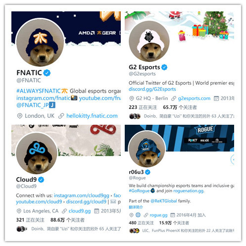 欧美战队集体改头像,rng混入其中,是有内鬼还是全体狗