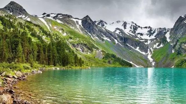 手抖，杯子都拿不稳，她是怎么好的？