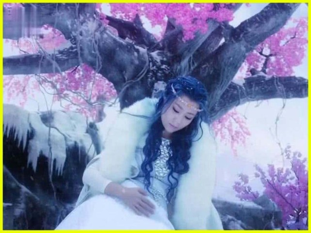 幻城中莲姬为何被称为天界第一美看完这五张图我信了