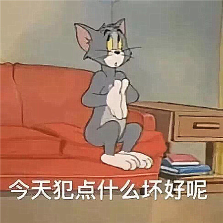 汤姆·杰瑞表情包:怀念汤姆和杰瑞的友谊,最好的时光就是,你在闹,我在