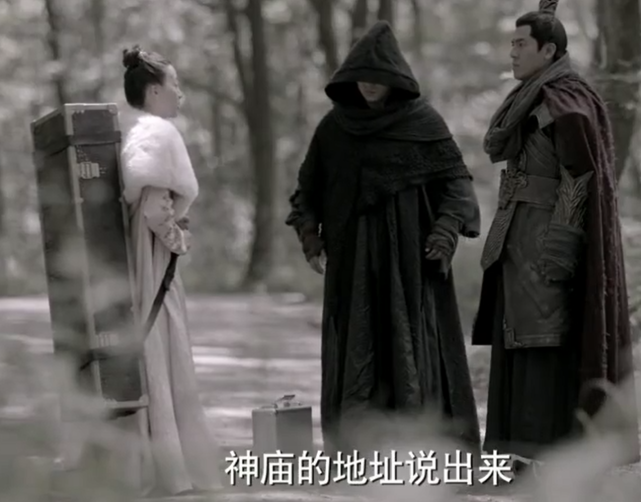 叶轻眉到了南庆之后,叶流云与之对战,不再用剑,之后遇到庆帝范建和