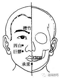 穴位图巨髎穴牙痛当选此穴