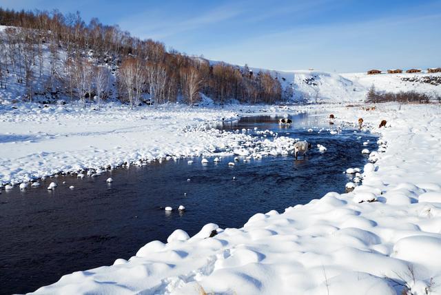 内蒙古阿尔山最神奇的河流,零下30度不结冰,南方游客