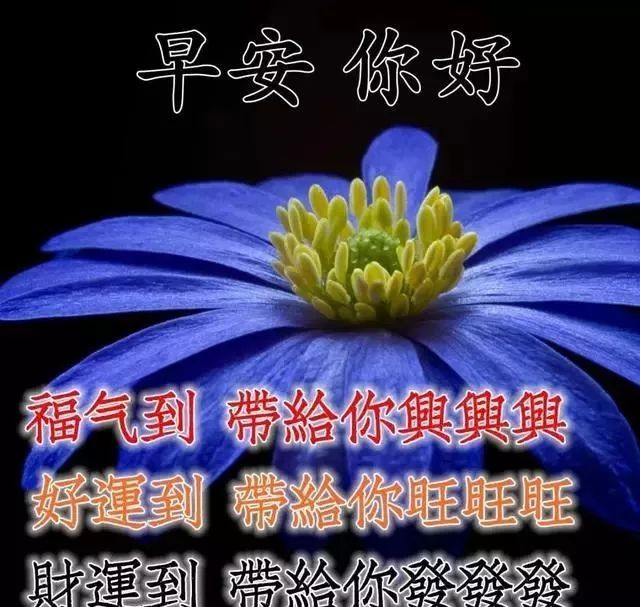 周六最美早安问候语图片带字温馨 早上好动态祝福表情