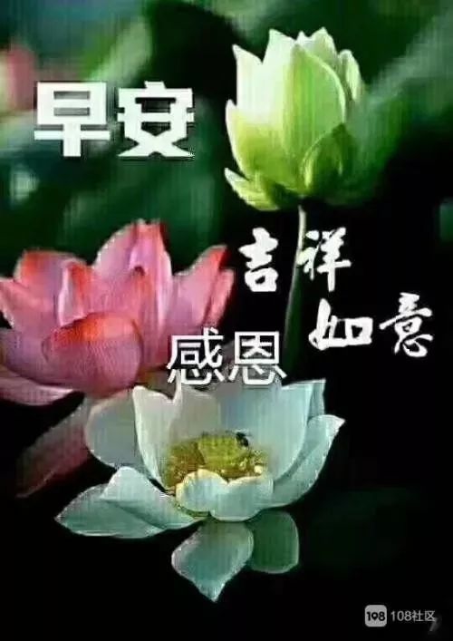 12月28日早上好暖心的阳光祝福语,温馨早安问候语动态