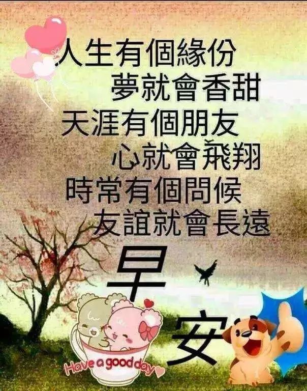 每日群发早上好问候温馨漂亮祝福语,早安带字祝福语美