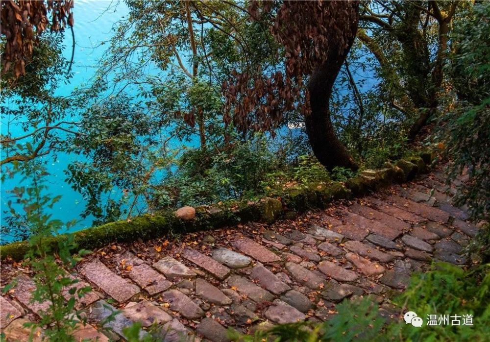 这条被遗忘在大山深处的百年古道,风景一绝,我一定要带你看看!