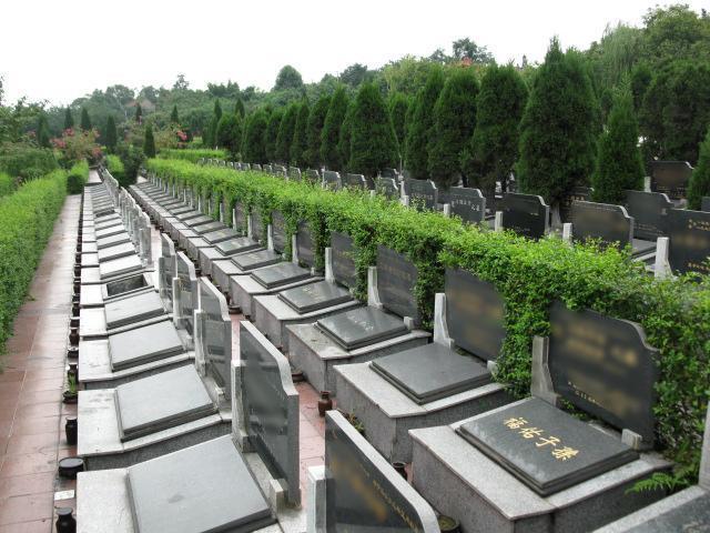 乡村人口性质_乡村人口向城市迁移(3)