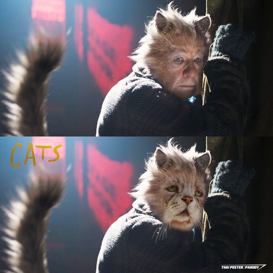 真人版《猫》太恐怖…神人把"真人版真猫版"网友超买单:压力瞬间没了