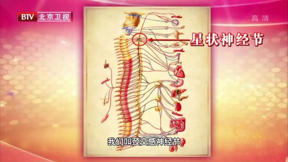 打开星状神经节这个"开关"的方法也很简单,就是 打针,但是怎么打