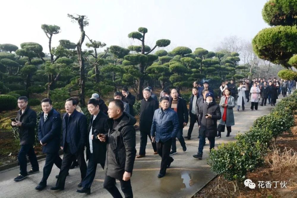 好热闹!几百人齐聚花乡丁伙为了这事,刷爆江都人的朋友圈