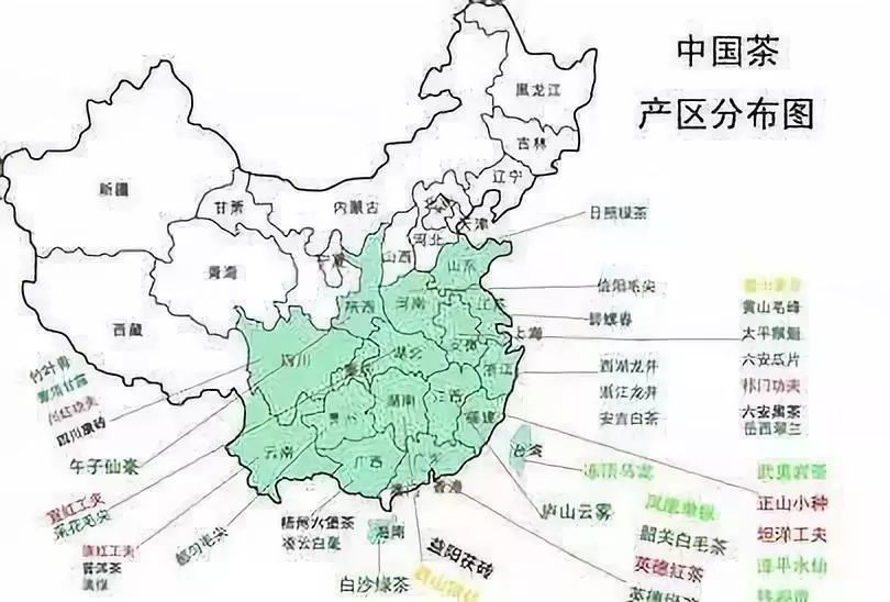 一份份好茶地图走到哪都能喝好茶