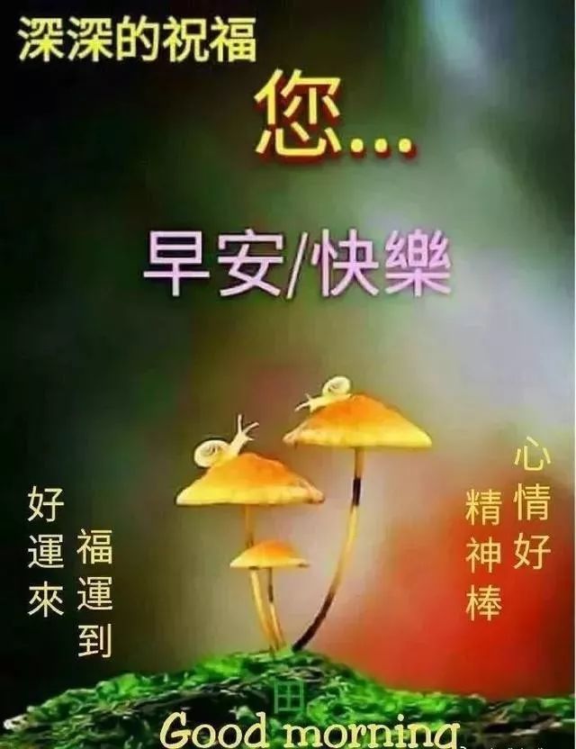 早上好问候语带鲜花的祝福句子 新的一月早上好温馨的