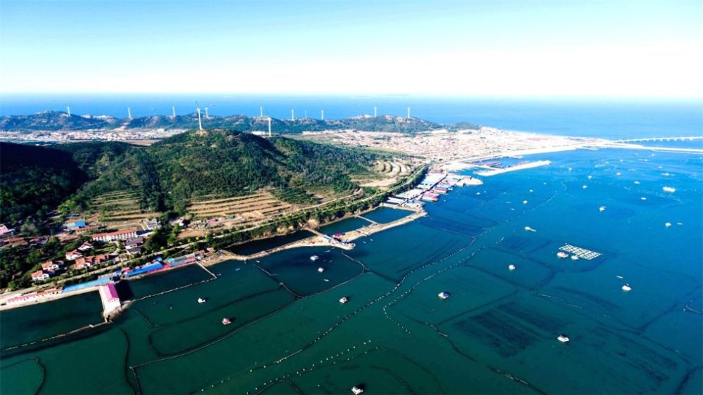 临沂的经济总量_临沂经济学校鸟瞰图