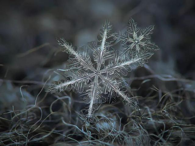 不过,无论你是亲身感受到了雪花落在手心的微凉,还是在朋友圈看雪快要