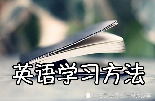 你为什么一直学不会英语一语点破真正原因