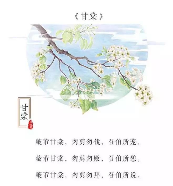 蔽芾甘棠,勿翦勿伐