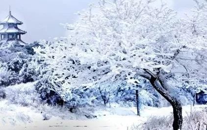 冰雪奇缘,银装素裹,这个冬天来嵩山看雾凇!