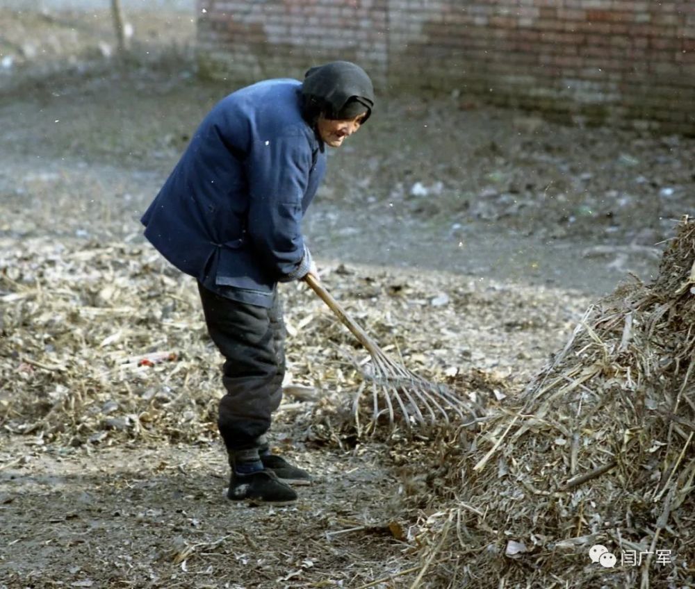 一组图片告诉你天南地北的鹿邑人为什么一定要在腊月三十前赶回老家