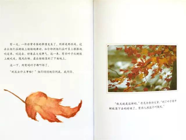 有声绘本:一片叶子落下来