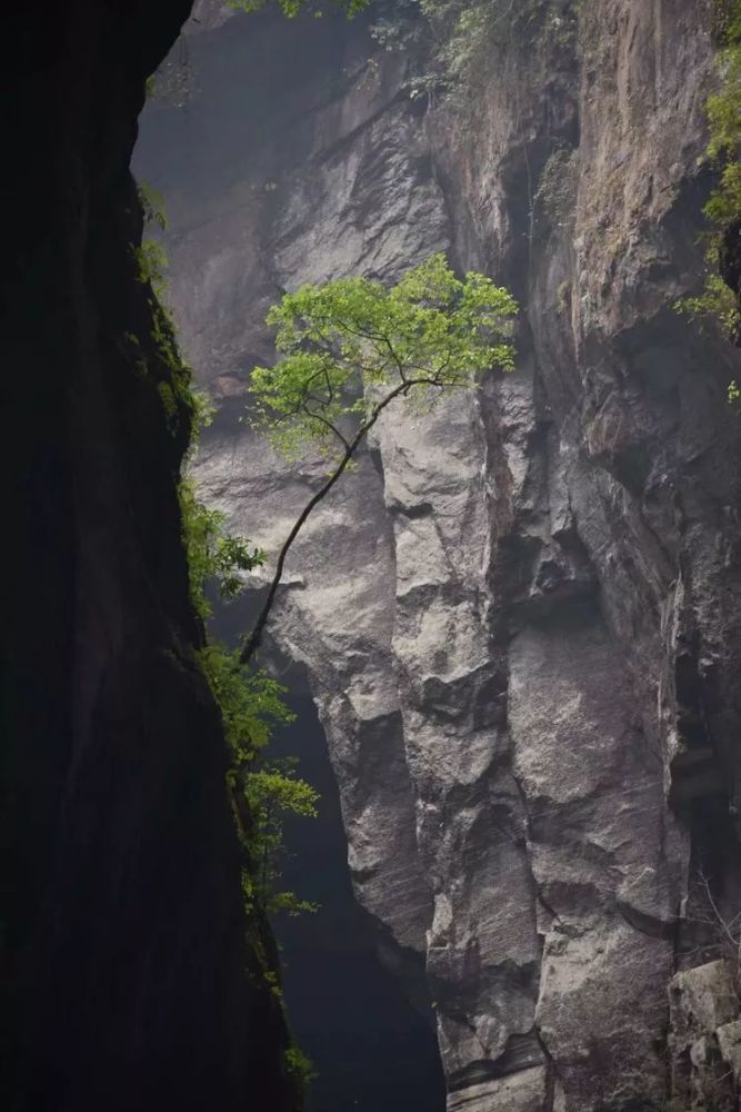 龙山县瓦房乡有多少人口_龙山县洛塔乡列坝村