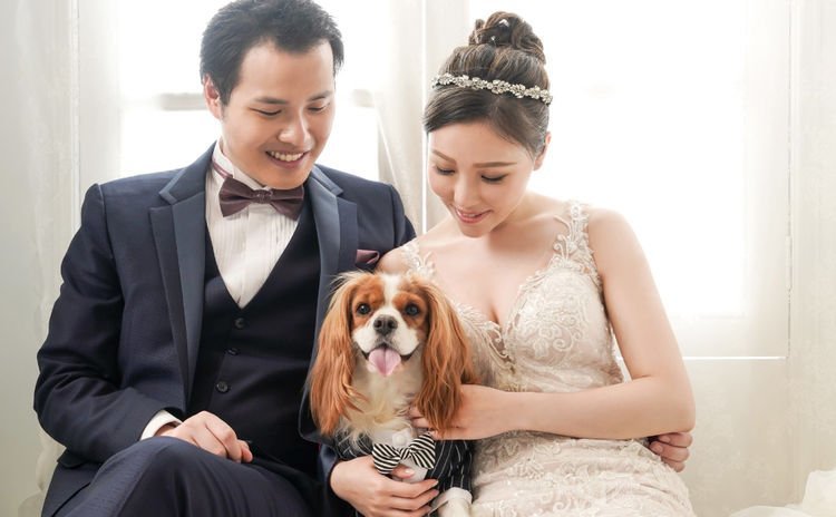 带宠物婚纱照_婚纱照风格