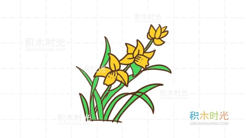 兰花小知识:兰花附生或地生草本,叶数枚至多枚,通常生于假鳞茎基部或