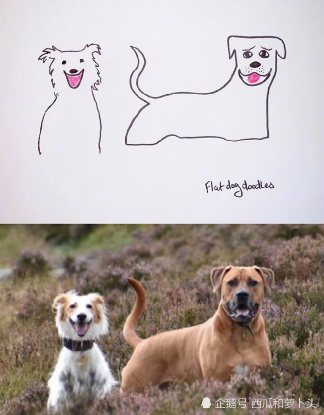 国外灵魂画师巧遇怪异狗子,于是二者碰撞狗子的抽象画