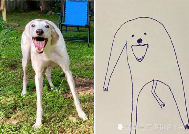 国外灵魂画师巧遇怪异狗子,于是二者碰撞狗子的抽象画