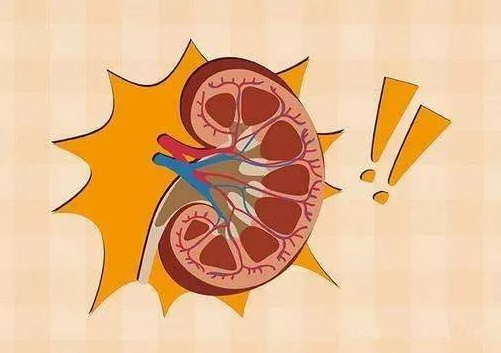 人为什么会患上肾结石?可能是做了这件事