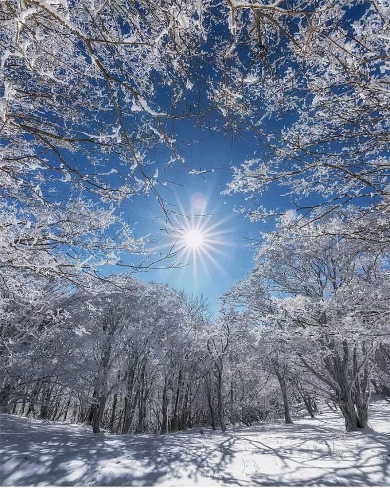 最美雪景——真是看醉了!