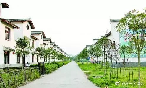 船山区乡镇人口_船山区韩麟(3)