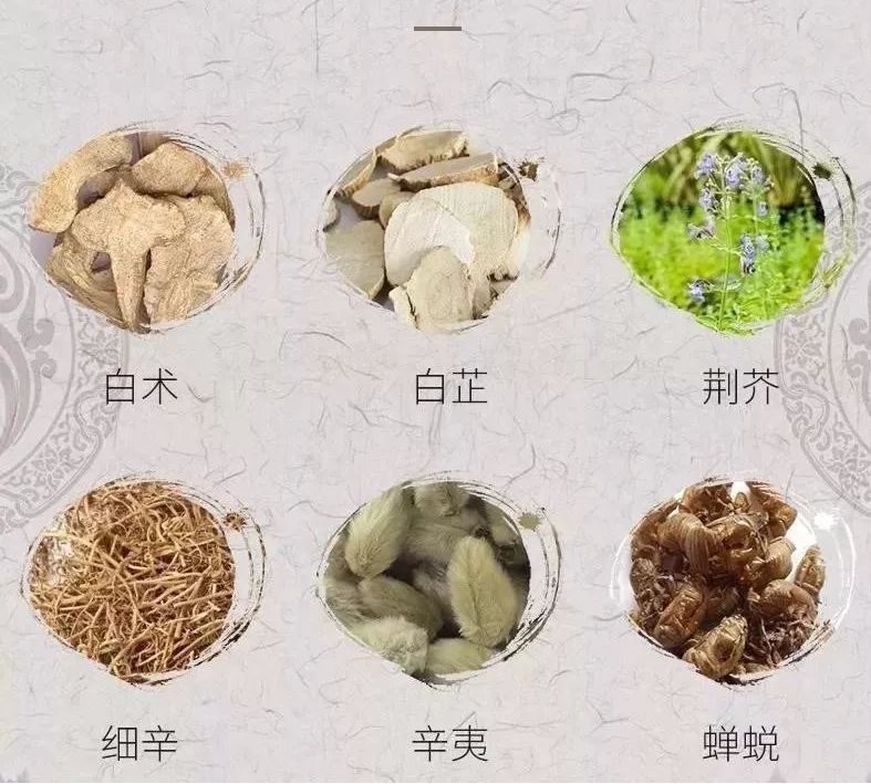 广阿堂鼻贴精选多种草药,如 白术,白芷,荆芥,细辛,辛夷,蝉蜕等药材
