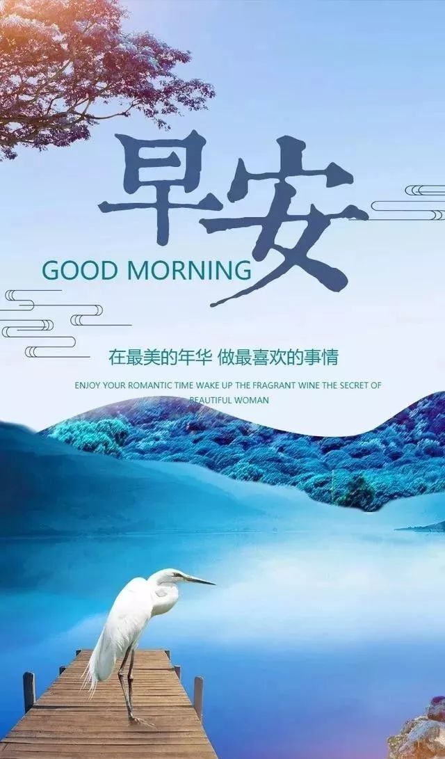 12月31早上好正能量很火的一段话